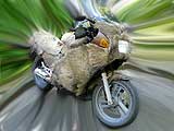 Zur Mitgliederseite von wildhog