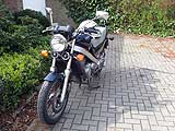 Zur Mitgliederseite von Daisyrider