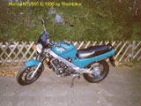 Zur Mitgliederseite von Rheinbiker