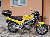 Zur Mitgliederbikeseite von Gfox
